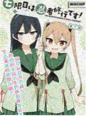 铁与花漫画封面